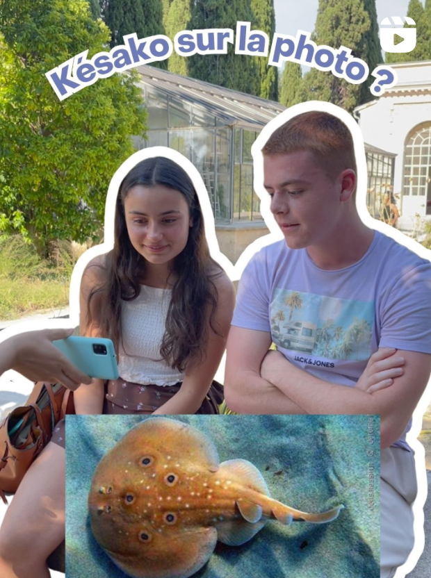 Capture d’écran 2025-10-20 à 22.50.09